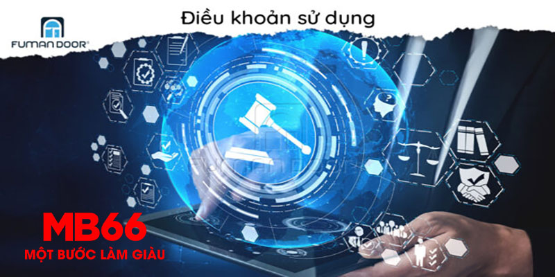 Các điều khoản sử dụng chính trong MB66